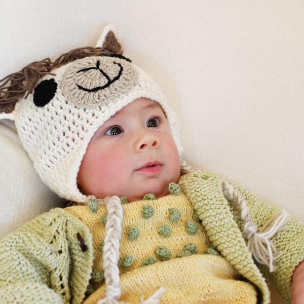 Llama Beanie